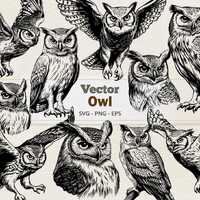Vector Owl Clipart - Line Art Digital Illustration - Short Eared Owl SVG PNG EPS - Commercial Use