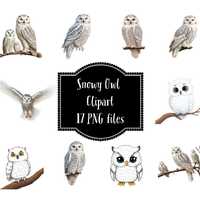 Snowy Owl PNG Clipart Instant Digital Download Bird of Prey Lover PNG for Personal and Commercial Us