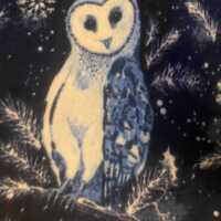 Owls in Many Shades of Blues Flying, Perching, Posing on Blue with Light Blue Hand Tied  Fleece Blan