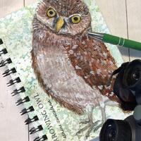 Burrowing Owl 5x7" notebook,  Birdwatcher's journal, Bird watcher's Notebook,  Spiral B