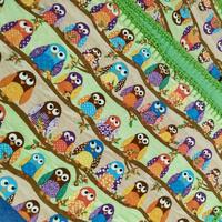 Cute Hoot Owls Baby Blanket