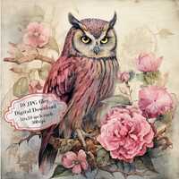 Shabby Chic Pink Owl Floral Page JPG Clipart Bundle- Digital Download