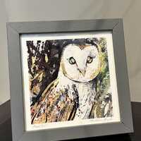 Barn Owl