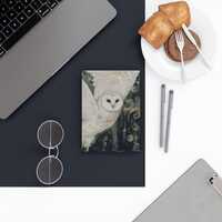 Snowy Owl Journal: Imbolc Familiars Hardback, Winter Magic