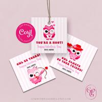 EDITABLE Owl Valentine Gift Tag, Bundle, Valentine Gift Label, Valentines Day, Favor Tag, Label, Gif