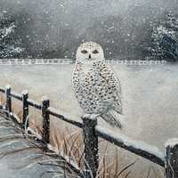 Original painting of snowy owl on fence