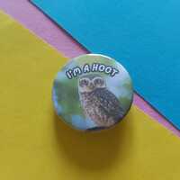 I'm a Hoot Owl Funny bird pun nature Fun Novelty photo collage 32mm button badge pin nocturnal B