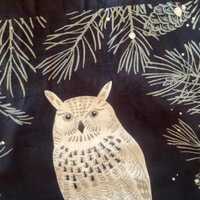 Owl on Black Surrounded by Tree Branches with Soft Green Fleece Blanket - This Blanket is Ready to S