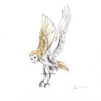 Heart Shaped Barn Owl Watercolor Painting: Woodland Animal Art