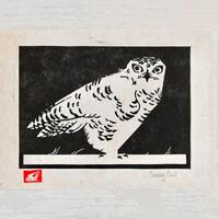 Snowy Owl - Linocut Print - Gifts for Bird Watchers- Original Arctic Wall Art