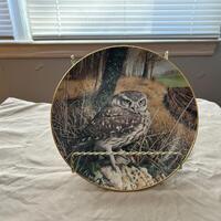 Collector Plate Watchful Eyes Majesty of Owls