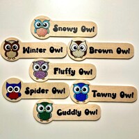Personalised Owl Name Badges: Girlguiding Brownie Leader