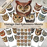 Vintage Owl Illustration: Ephemera Clipart PNG Bundle (Digital Download)