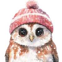 12 Cute Winter Owl Clipart, Printable Watercolor Clipart, Flower Clipart, Digital Download, High-Qua