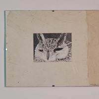 Great Horned Owl