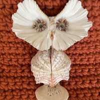 Vintage 1970s Shell Owl Decor - Coastal Figurine (9 inch)