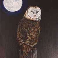 Barn Owl Acrylic Painting: Moonlit Night Sky Wildlife Art, 12x16 Canvas