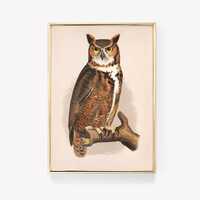 Great Horned Owl | Audubon Owl Print | Vintage Bird Art | Nature Poster | Wildlife Print | Wall Deco
