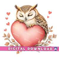 Sleeping Owl on a Heart PNG Digital Download Clipart Printable Art Dtg Dtf Mugs T-Shirts Sublimation