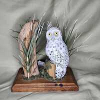 Eileen Rubak - White Owl Nature Diorama - Hand Carved