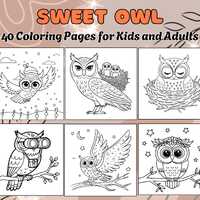Sweet Owl Coloring Pages | Printable Woodland Owl Art Fun and Easy Designs for Kids and Adults for R