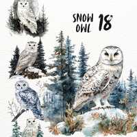 Watercolour Snow owls Clipart bundle summer woodland sticker set forest birds goodnote stickers tran