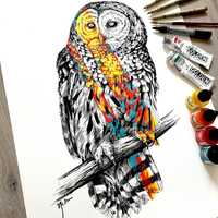ART PRINT - Hand Signed: Owl