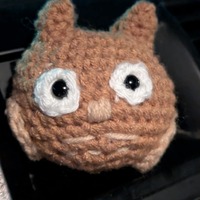 Cute owl