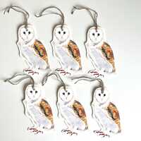 Barn Owl Gift Tags (Set of 6) Illustrated by Sequoia