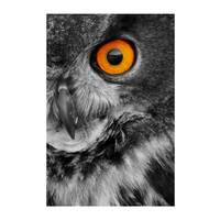 Eagle Owl Photo, Wildlife Photography, Bird Photo, Nature Photography, Black and White, Halloween