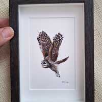 ORIGINAL box framed painting, cottagecore, wall decor, owl art, bird painting, old world, farmstyle,