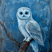 Original Owl Canvas Painting, Hand Painted Ready to Hang Artwork, Canvas Wall Decor, Wall Art Origin