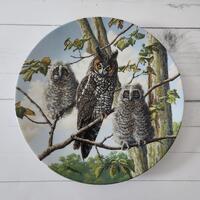 Long-Eared Owls Knowles Plate: Limited Edition Wildlife Art