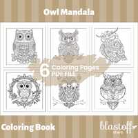 Owl Mandala Coloring Book, Owl Coloring Pages For Adults, Adult Coloring Book for Relaxation, Adult 