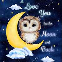 Owl Fabric Panel 24"x44" Timeless Treasures 100% Cotton Quilt Fabric Moon & Back Desig