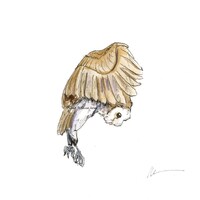 Heart Barn Owl Watercolor Painting: Woodland Animal Art (6x6)
