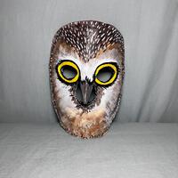 Paper Mache Owl Mask