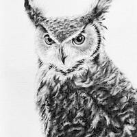 Original Handmade Owl Drawing, Black & White  - Dry Oil Brush Art on Acrylic Paper.