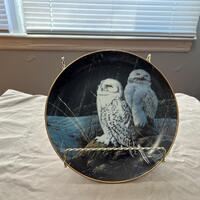 Collector Plate The Wise Ones The Owls of North America