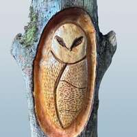 Hand Carved Pine Owl