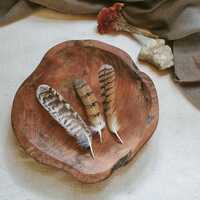 Owl Tail Feather Set: Ethically Sourced, Cleansed & Restored