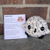 Kindly Owl Crochet Plushie and Poem Card Emotional Support Friend