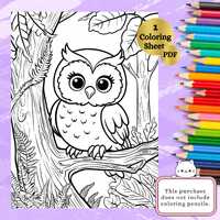 Owl Coloring | Bird  Coloring Art | Animal Coloring Sheet | Digital, Printable, Instant Download