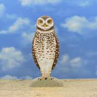 An owl sculpture, a burrowing owl, a wooden owl.