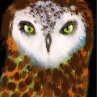 owls beauty digitally made by myself 11 x 14 inches wall art