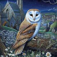 Barn Owl Church Yard Spring Night cross stitch pattern. Instant PDF Download. 60k Stitches.