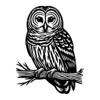 Barred Owl SVG | Black & White Vector File for Laser Cutting | Perfect Crafting Design, Animal D