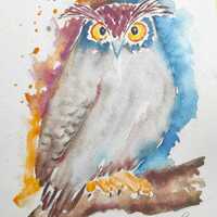 aquarelle de  hibou ,peinture original d&eacute;coration de hibou ,art mural ,dessin illustration oi