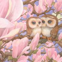 Love Owls 8.5x11 Signed Print