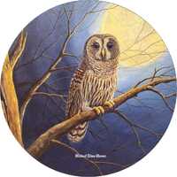 Barred Owl Sticker
